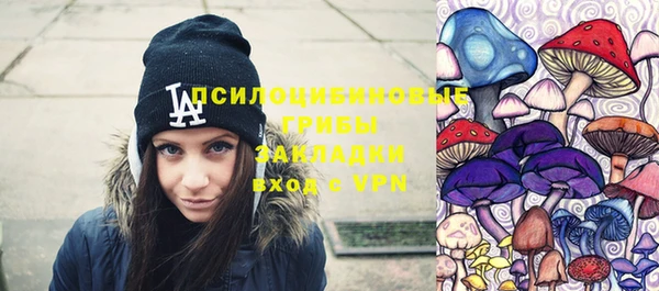 эйфоретик Алзамай
