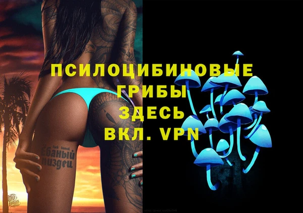 эйфоретик Алзамай