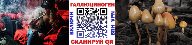 Псилоцибиновые грибы мицелий  Артёмовский 